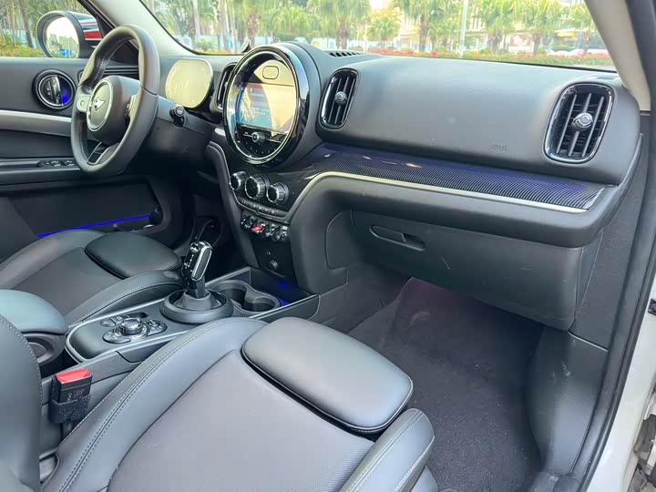 Mini Countryman 2022 2022款 2.0T COOPER S ALL4