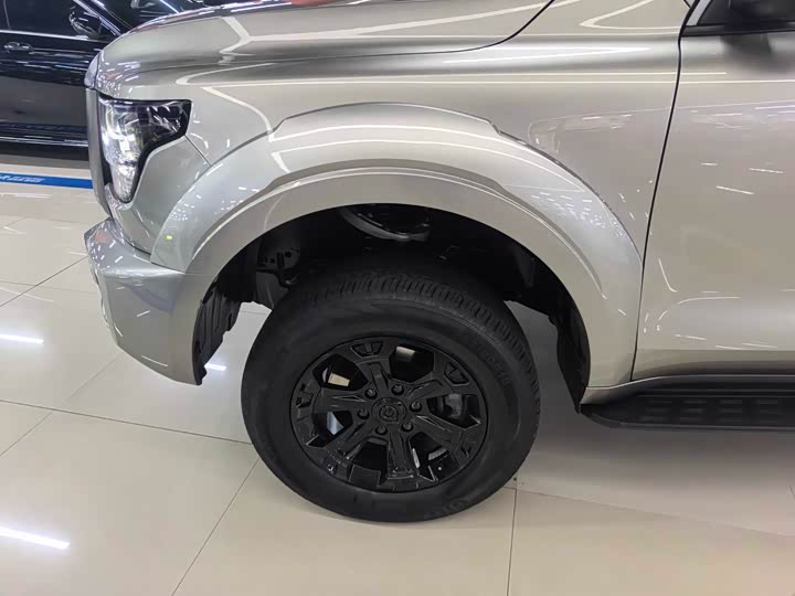 Great Wall Shanhai Poer Hybrid 2025 2025款 Hi4-T 全球版