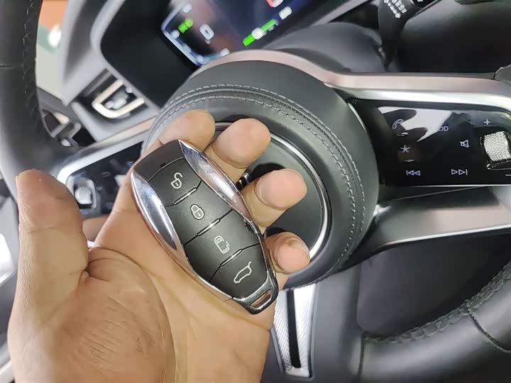 Hongqi HQ9 Hybrid 2024 2024款 2.0T 四驱商务版