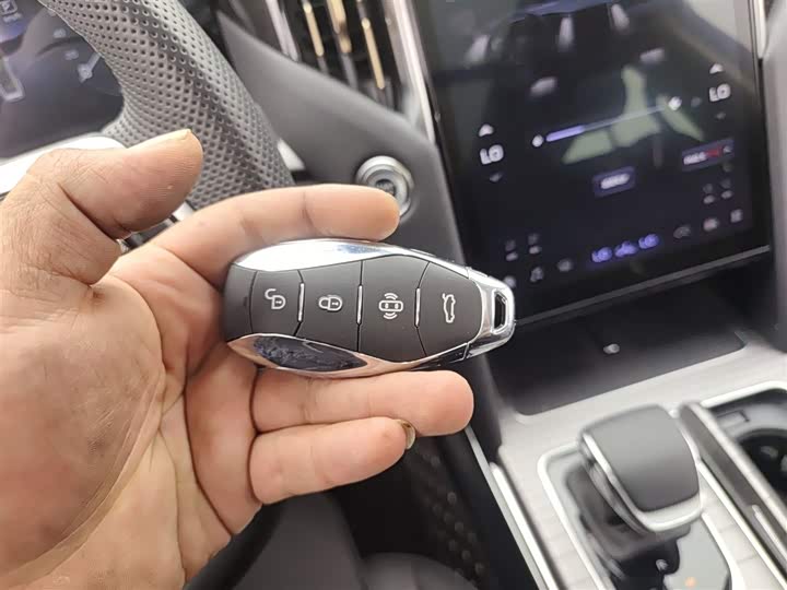 Hongqi HS7 Hybrid 2024 2024款 2.0T PHEV 四驱旗畅版 6座