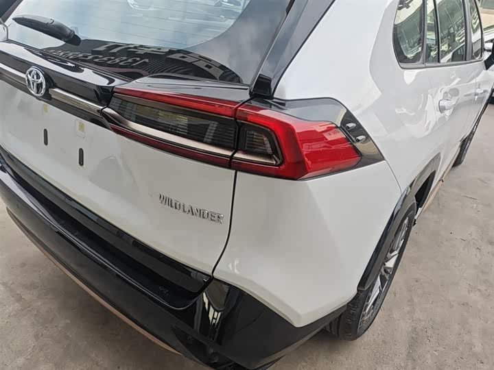 Toyota Wildlander 2024 2024款 2.0L CVT两驱豪华PLUS版