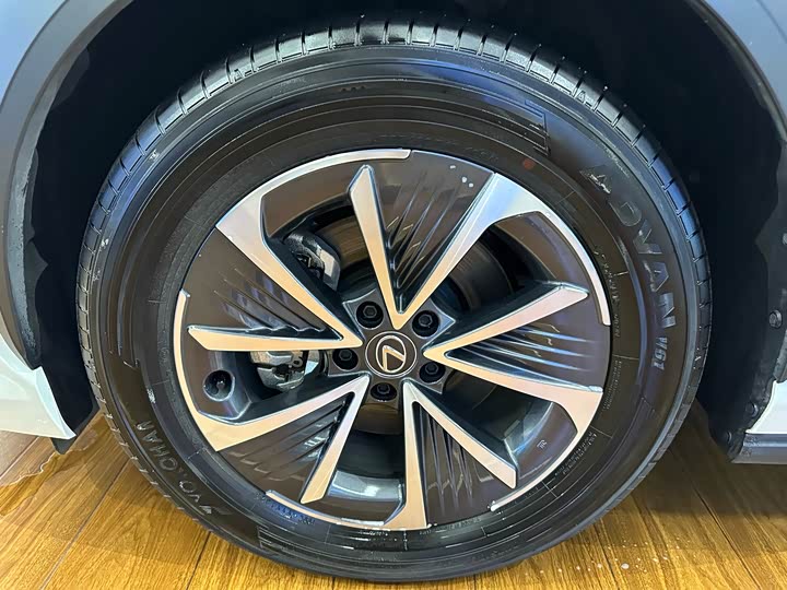 Lexus RZ 2023 2023款 450e 四驱纵享版