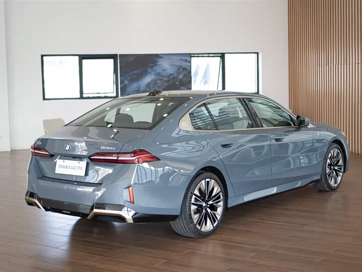 BMW 5 Series 2024 2024款 530Li 尊享型 M运动套装