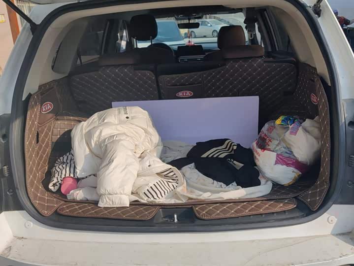 Kia Sportage GT-line 2021 2021款 Ace 2.0L 精彩版