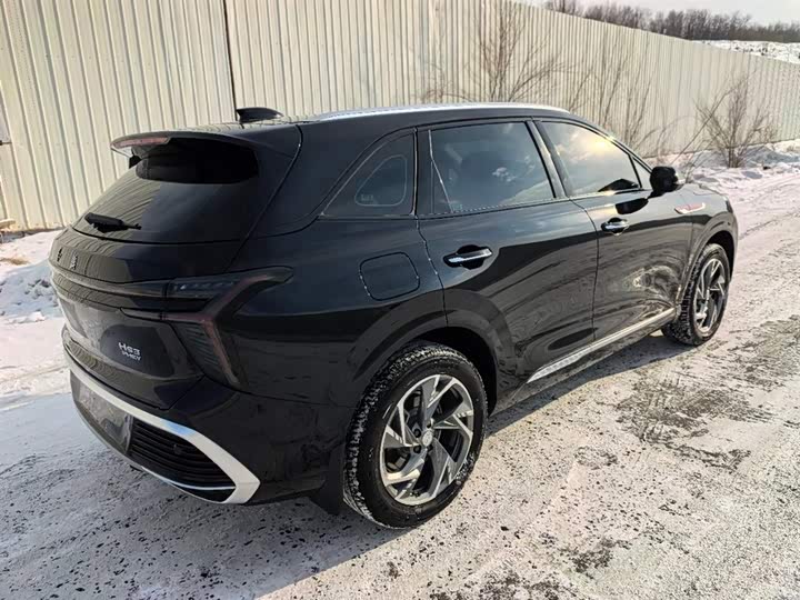 Hongqi HS3 Hybrid 2024 2024款 115km 劲为版