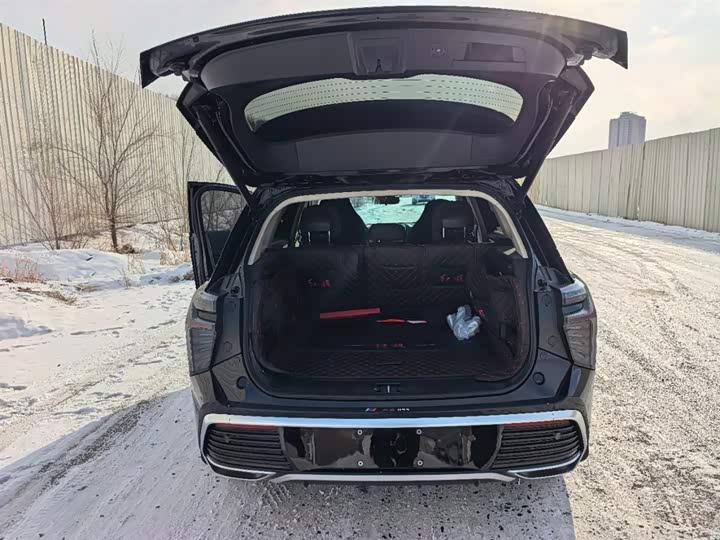 Hongqi HS3 Hybrid 2024 2024款 115km 劲为版