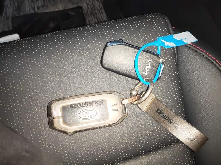 Kia KX5 2021 2021款 2.0L 自动两驱舒适版