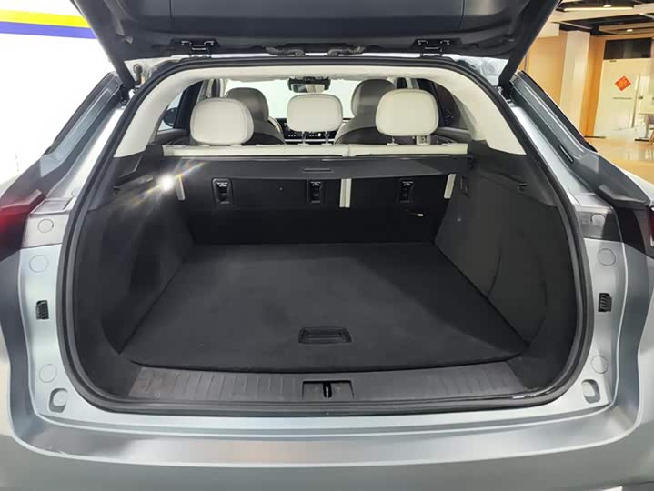 Exeed RX C-DM Hybrid 2024 2024款 1.5T 长续航Pro