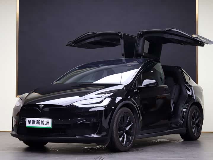 Tesla Model X 2023 2023款 双电机全轮驱动版