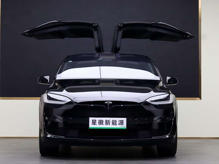 Tesla Model X 2023 2023款 双电机全轮驱动版