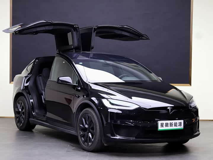 Tesla Model X 2023 2023款 双电机全轮驱动版