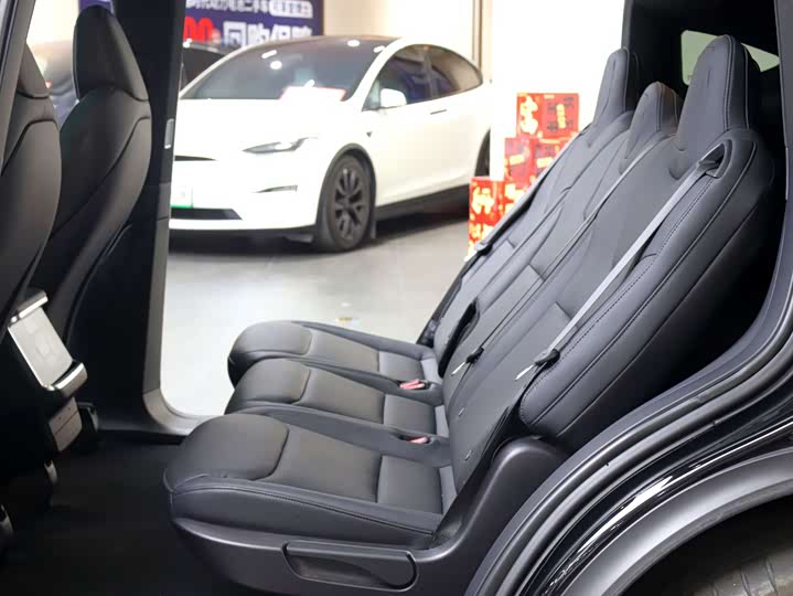 Tesla Model X 2023 2023款 双电机全轮驱动版