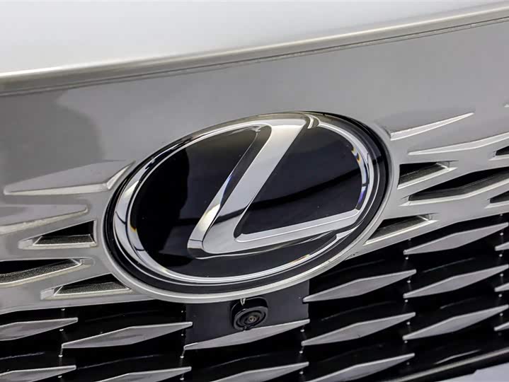 Lexus RX 2023 2023款 350h 两驱舒享版