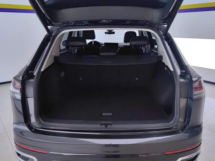 Volkswagen Tayron GTE Hybrid 2024 2024款 280TSI 豪华Plus进阶版