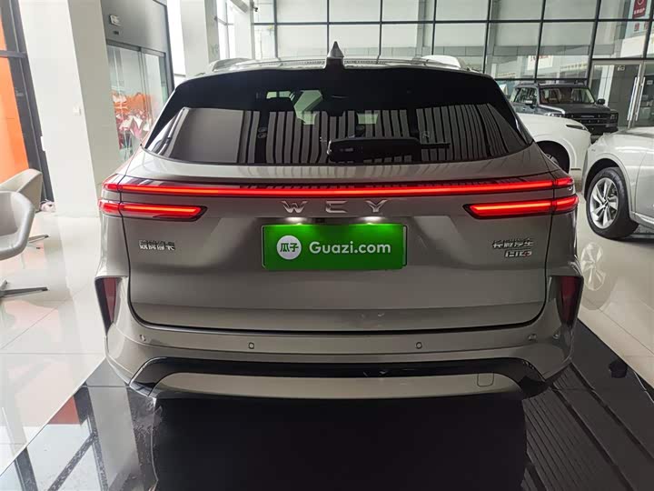 Wey Mocca Hybrid 2024 2024款 Hi4 四驱长续航版