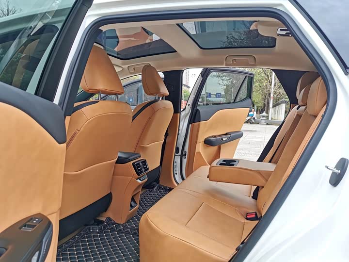 Lexus RZ 2023 2023款 450e 四驱纵享版