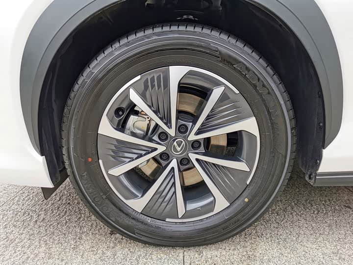 Lexus RZ 2023 2023款 450e 四驱纵享版