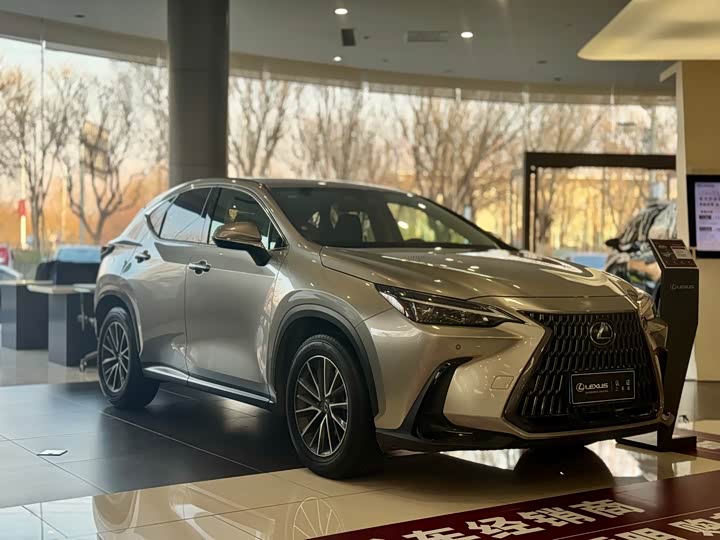 Lexus NX 2023 2023款 260 前驱 创驰版