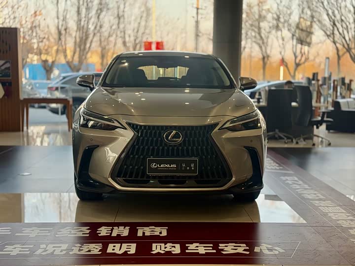 Lexus NX 2023 2023款 260 前驱 创驰版