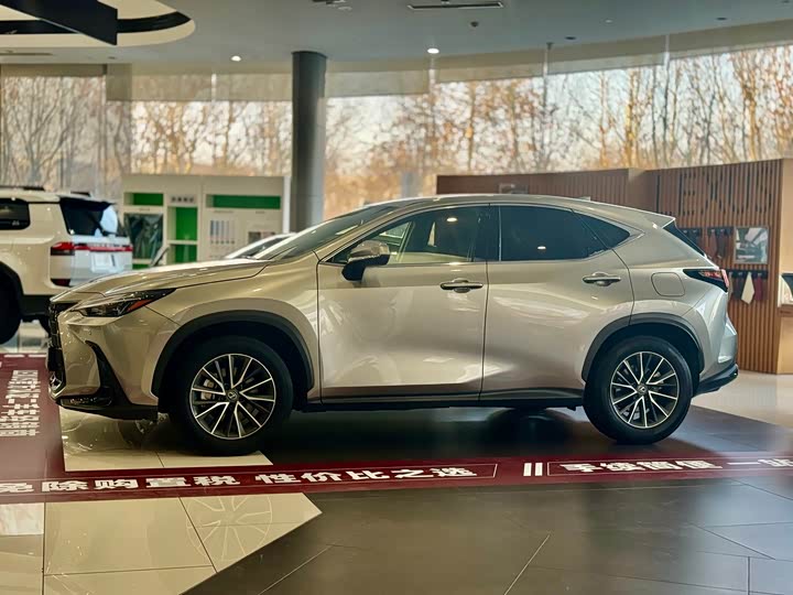 Lexus NX 2023 2023款 260 前驱 创驰版