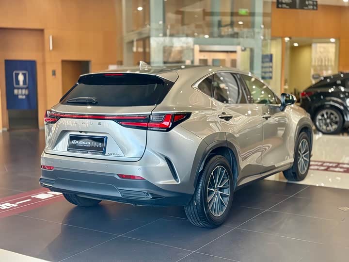 Lexus NX 2023 2023款 260 前驱 创驰版