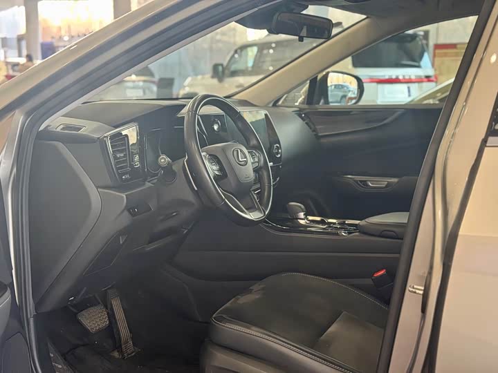 Lexus NX 2023 2023款 260 前驱 创驰版