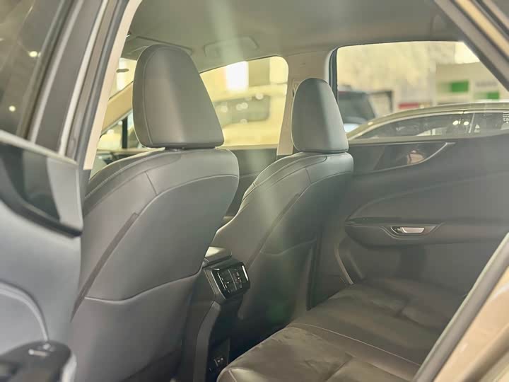 Lexus NX 2023 2023款 260 前驱 创驰版