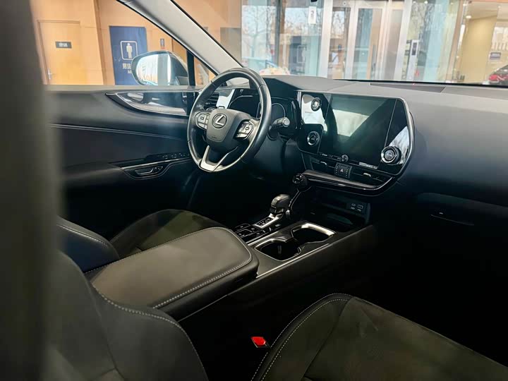 Lexus NX 2023 2023款 260 前驱 创驰版