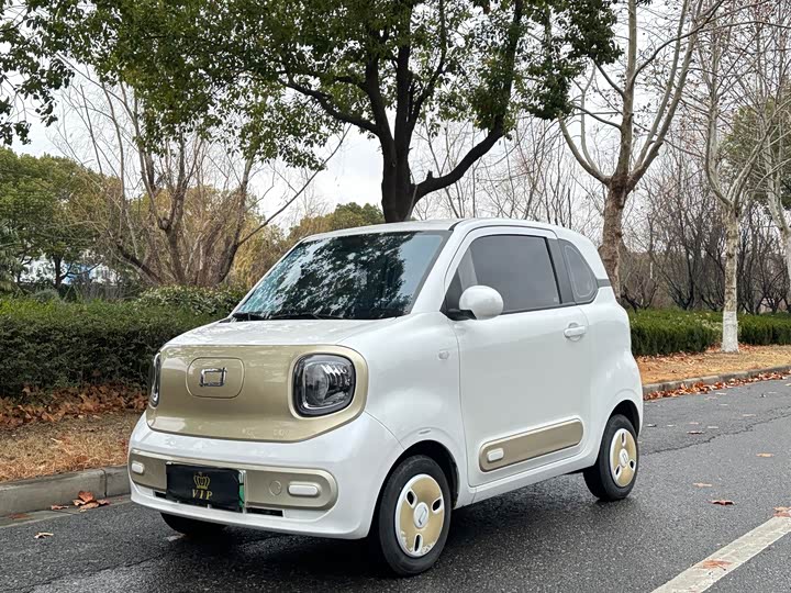 Bestune Pony 2025 2025款 222km 玲珑马