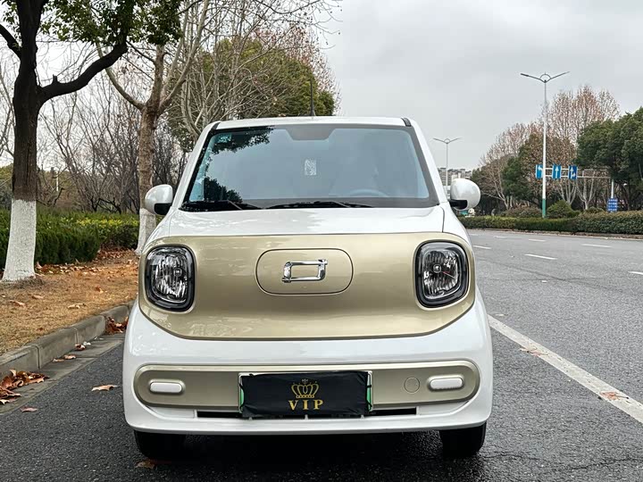 Bestune Pony 2025 2025款 222km 玲珑马