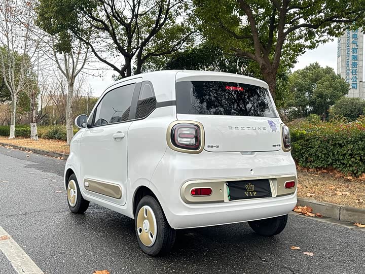 Bestune Pony 2025 2025款 222km 玲珑马