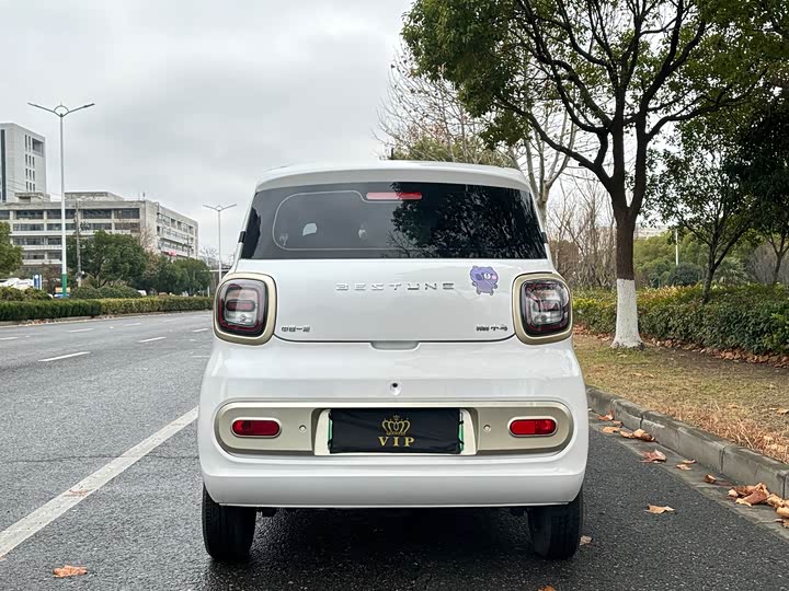 Bestune Pony 2025 2025款 222km 玲珑马