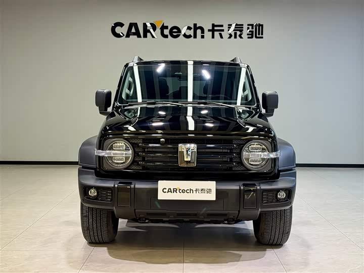 Tank 300 2024 2024款 2.0T 征服者