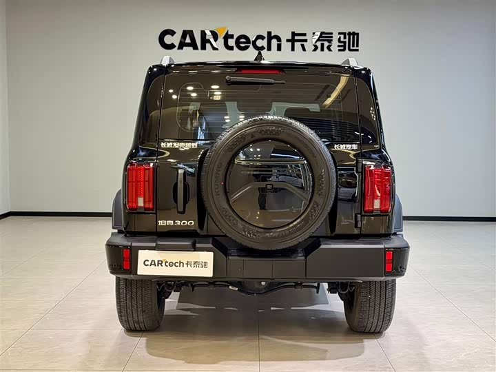 Tank 300 2024 2024款 2.0T 征服者