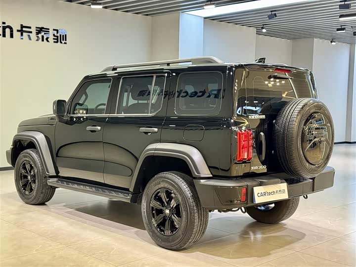 Tank 300 2024 2024款 2.0T 征服者