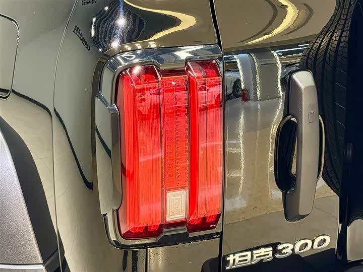 Tank 300 2024 2024款 2.0T 征服者