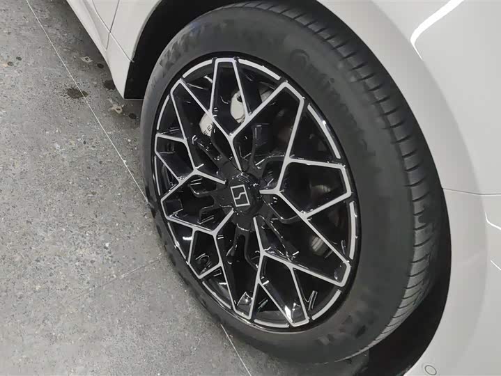 Zeekr 001 2025 2025款 YOU版 100kWh 四驱