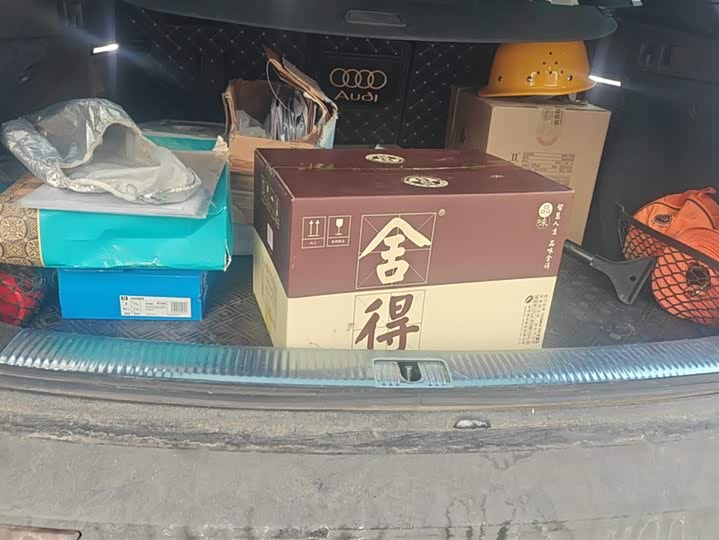 Audi Q5L 2025 2025款 40 TFSI 豪华动感型