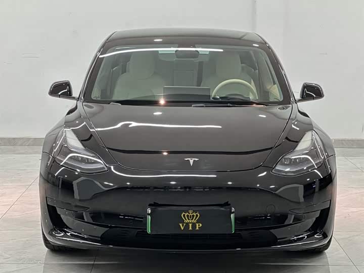 Tesla Model 3 2023 2023款 后轮驱动版