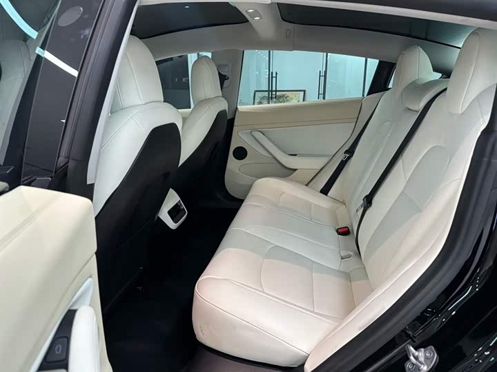 Tesla Model 3 2023 2023款 后轮驱动版
