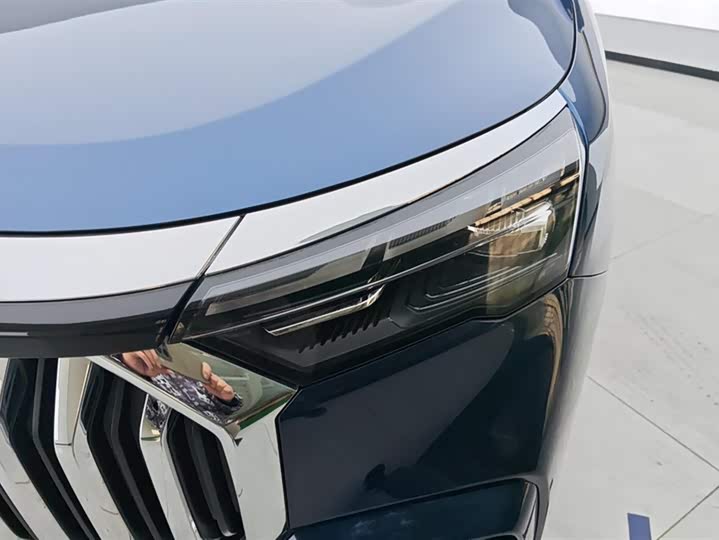 Geely Okavango L 2024 2024款 2.0T DCT尊贵型