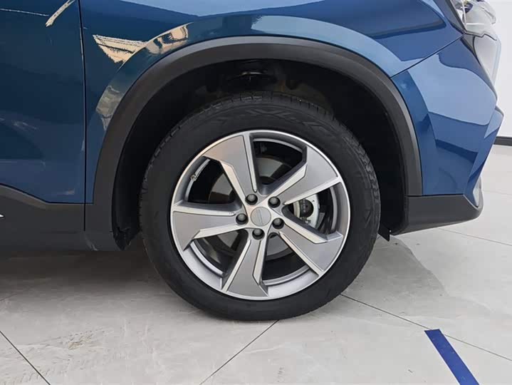 Geely Okavango L 2024 2024款 2.0T DCT尊贵型