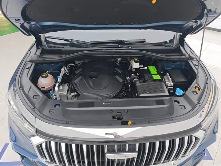 Geely Okavango L 2024 2024款 2.0T DCT尊贵型