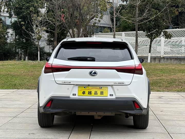 Lexus UX 2020 2020款 260h 探·趣版