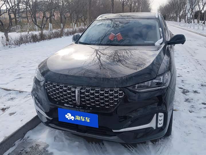 Wey VV6 2020 2020款 2.0T 两驱智护+