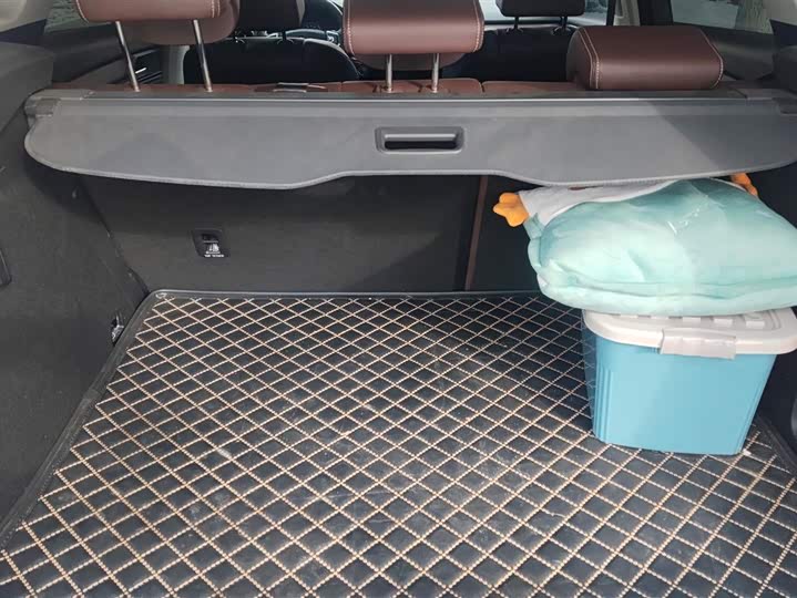 Wey VV6 2020 2020款 2.0T 两驱智护+