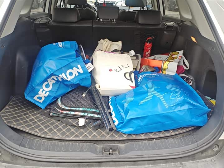 Toyota RAV4 Hybrid 2021 2021款 2.5L 两驱精英Pro