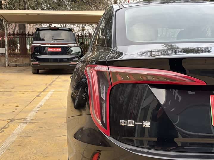 Hongqi E-QM5 2024 2024款 450km 出行版
