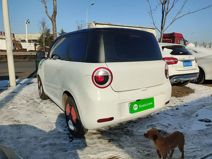 Changan Qiyuan (Nevo) Lumin 2025 2025款 205km 清香款