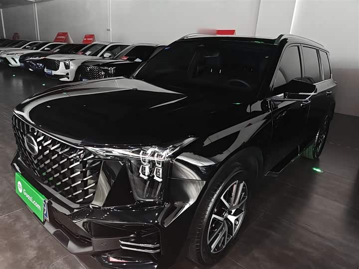 GAC Trumpchi GS8 2024 2024款 领航系列 2.0TGDI 两驱豪华智联版